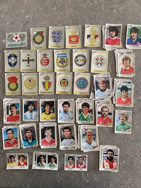 Lot PANINI