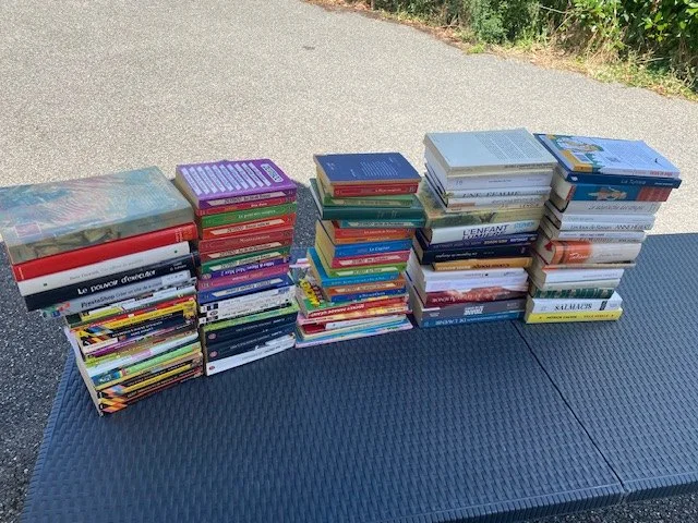 Très gros lot de livres divers